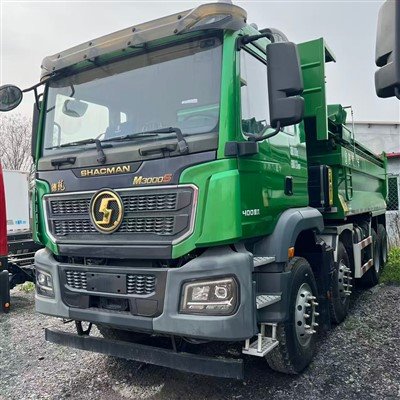 Delong M3000 Dump Truck